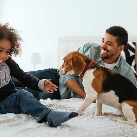 La Clef Louvre By The Crest Collection Paris