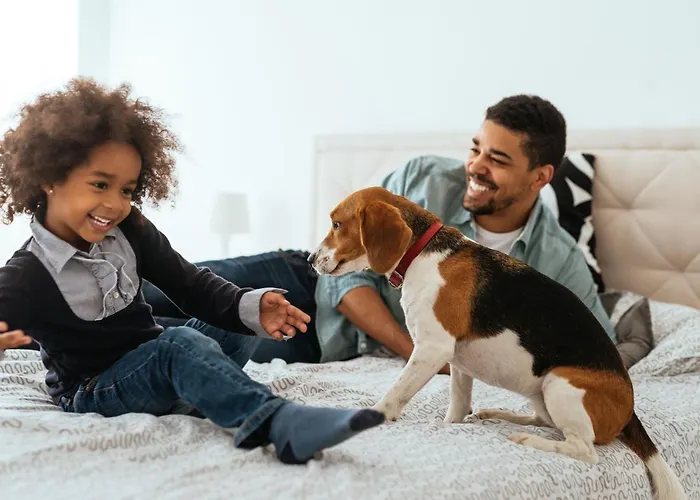 La Clef Louvre By The Crest Collection Paris